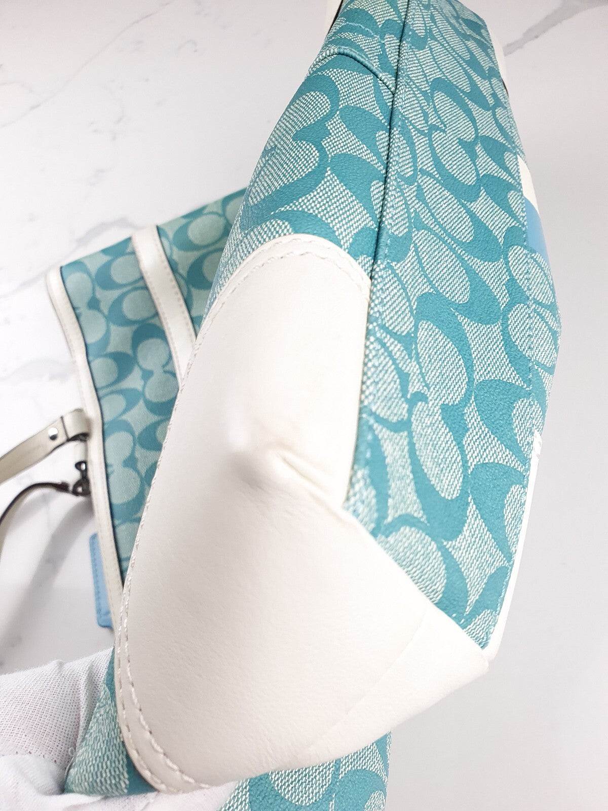 Coach Signature Canvas Tote Bag with Leather Trim in Blue and White